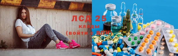 эйфоретик Аркадак