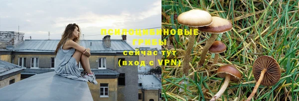 ALPHA-PVP Арсеньев