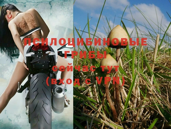 ALPHA-PVP Арсеньев